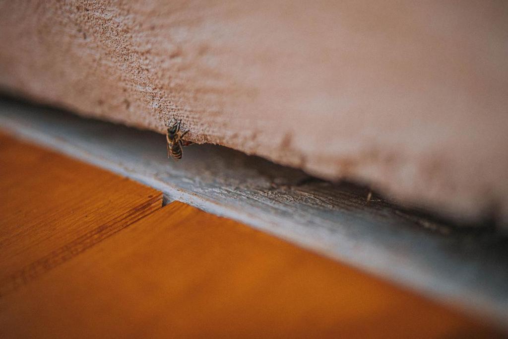 Sleeping With Bees - Tourist Farm Muha Apartment โกรซุปเลีย ภายนอก รูปภาพ