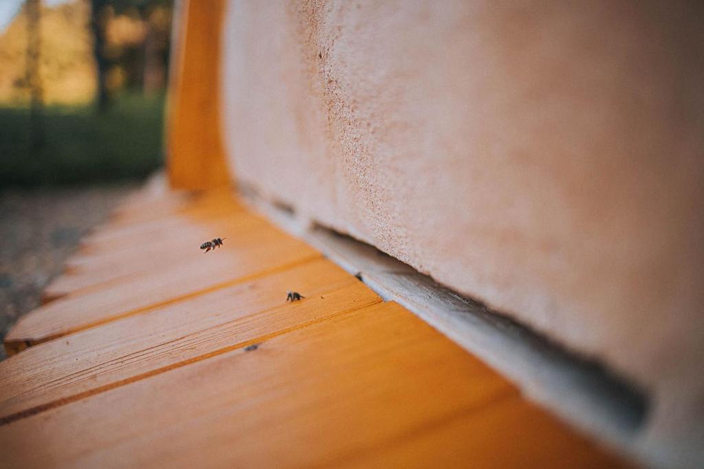 Sleeping With Bees - Tourist Farm Muha Apartment โกรซุปเลีย ภายนอก รูปภาพ