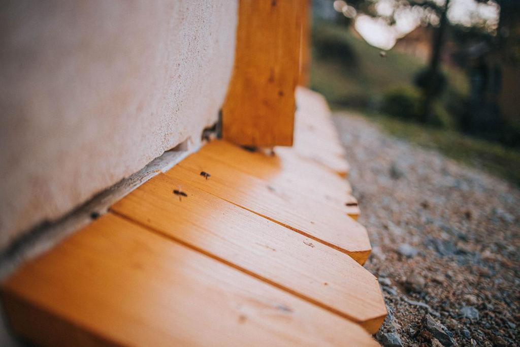 Sleeping With Bees - Tourist Farm Muha Apartment โกรซุปเลีย ภายนอก รูปภาพ